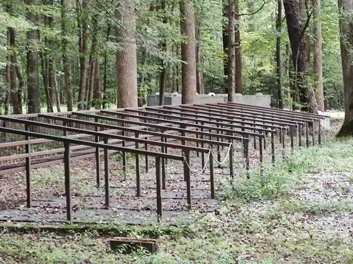 Camper-submitted photo at Big Creek Horse Camp — Great Smoky Mountains National Park near Hot Springs, NC