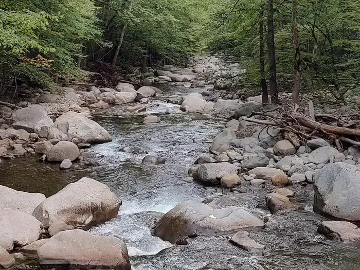 Camper-submitted photo at Big Creek Horse Camp — Great Smoky Mountains National Park near Hot Springs, NC