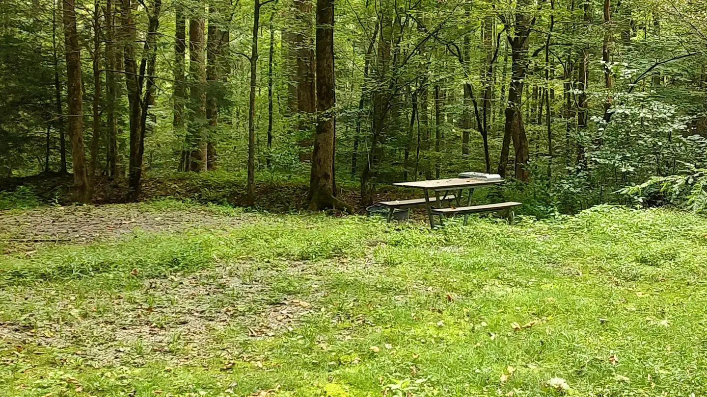 Camper-submitted photo at Big Creek Horse Camp — Great Smoky Mountains National Park near Hot Springs, NC