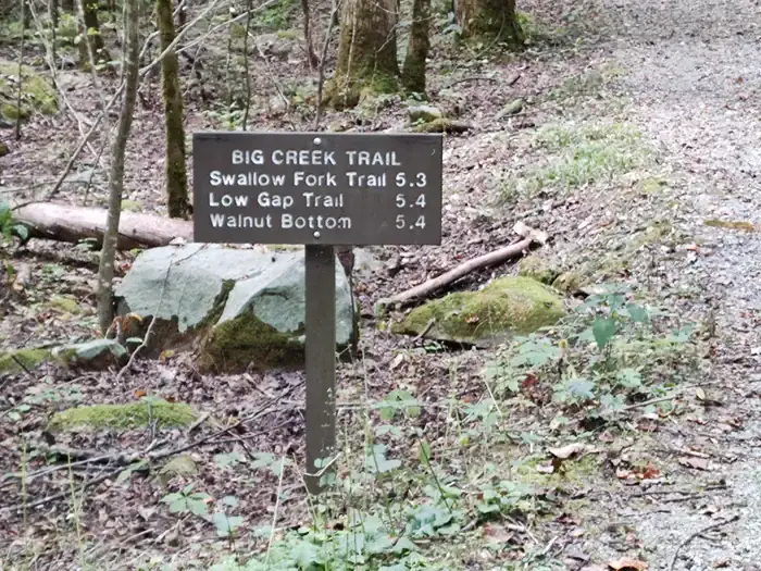 Camper-submitted photo at Big Creek Horse Camp — Great Smoky Mountains National Park near Hot Springs, NC