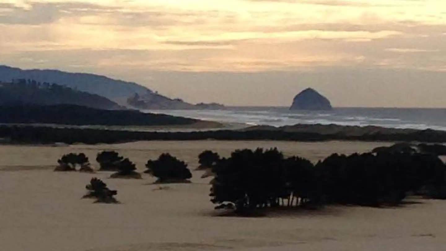 Camper submitted image from Sandbeach - 1