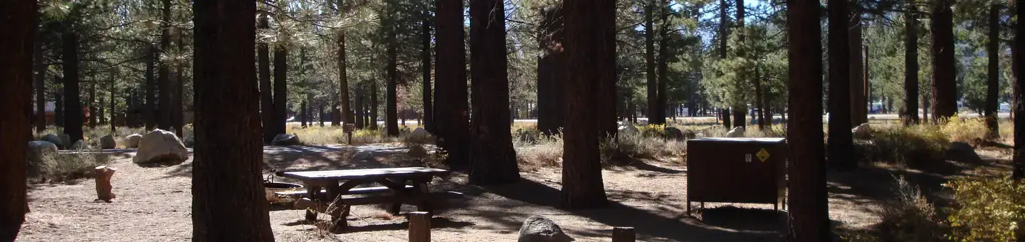 Camping near Coldwater Campground: New Shady Rest Campground, Mammoth Lakes, California