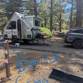 Review photo of Bonito Campground — Sunset Crater National Monument by April H., December 8, 2025