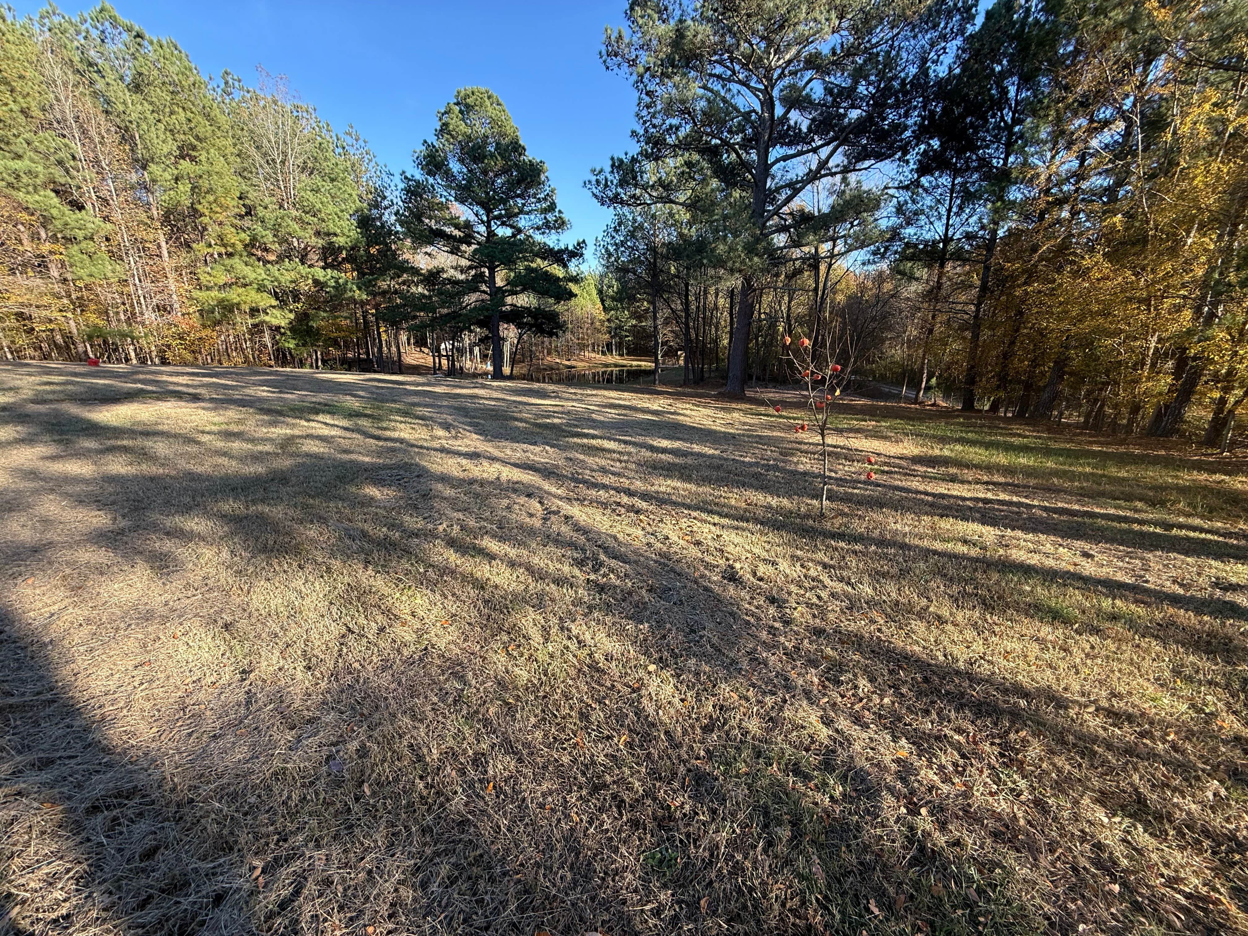 Camper submitted image from Camp Julia - 1