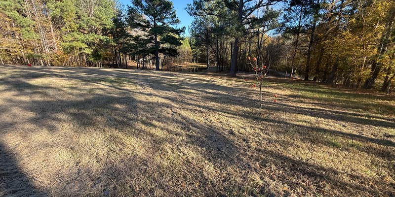 Camper submitted image from Camp Julia