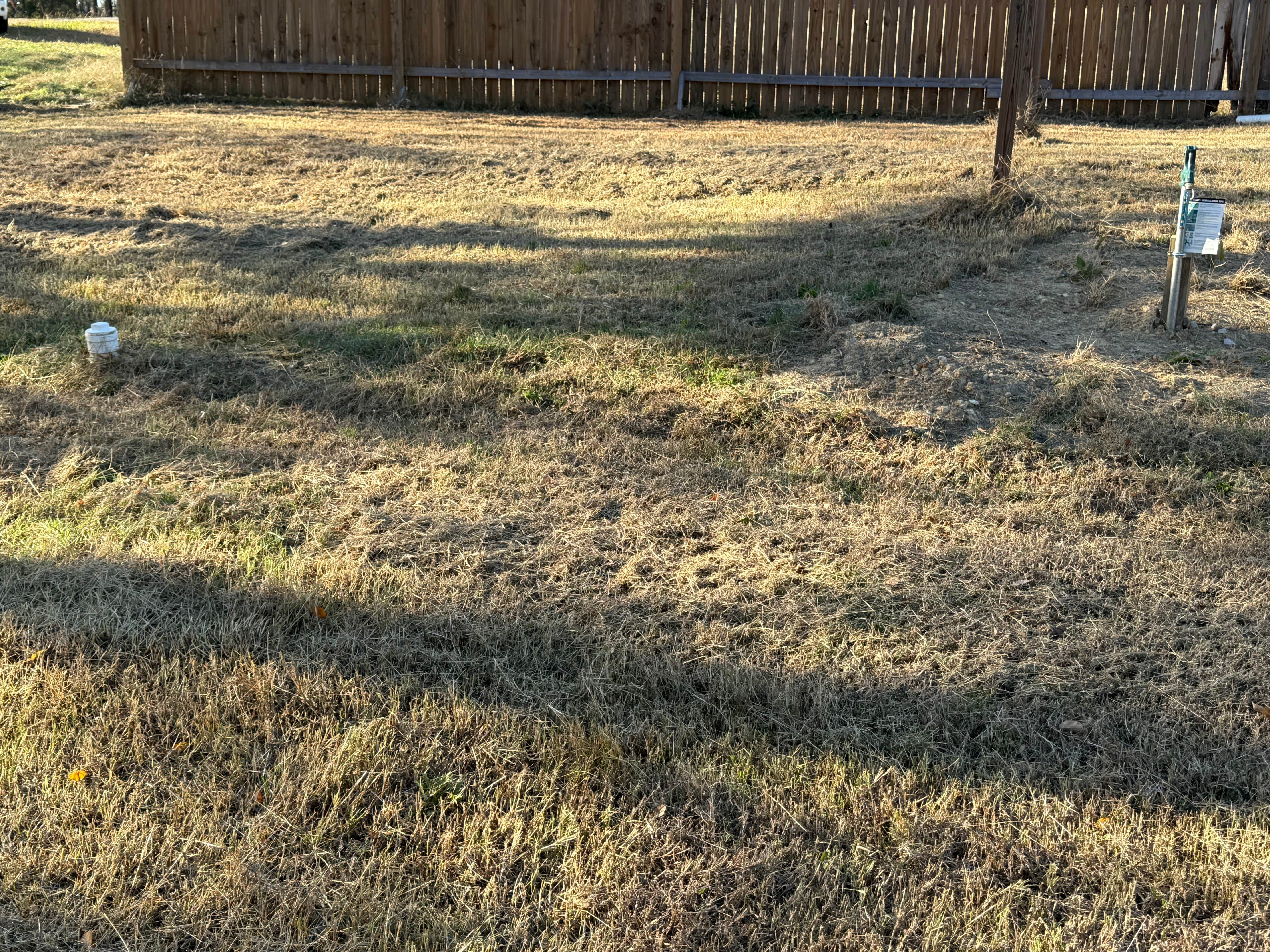 Camper submitted image from Camp Julia - 2