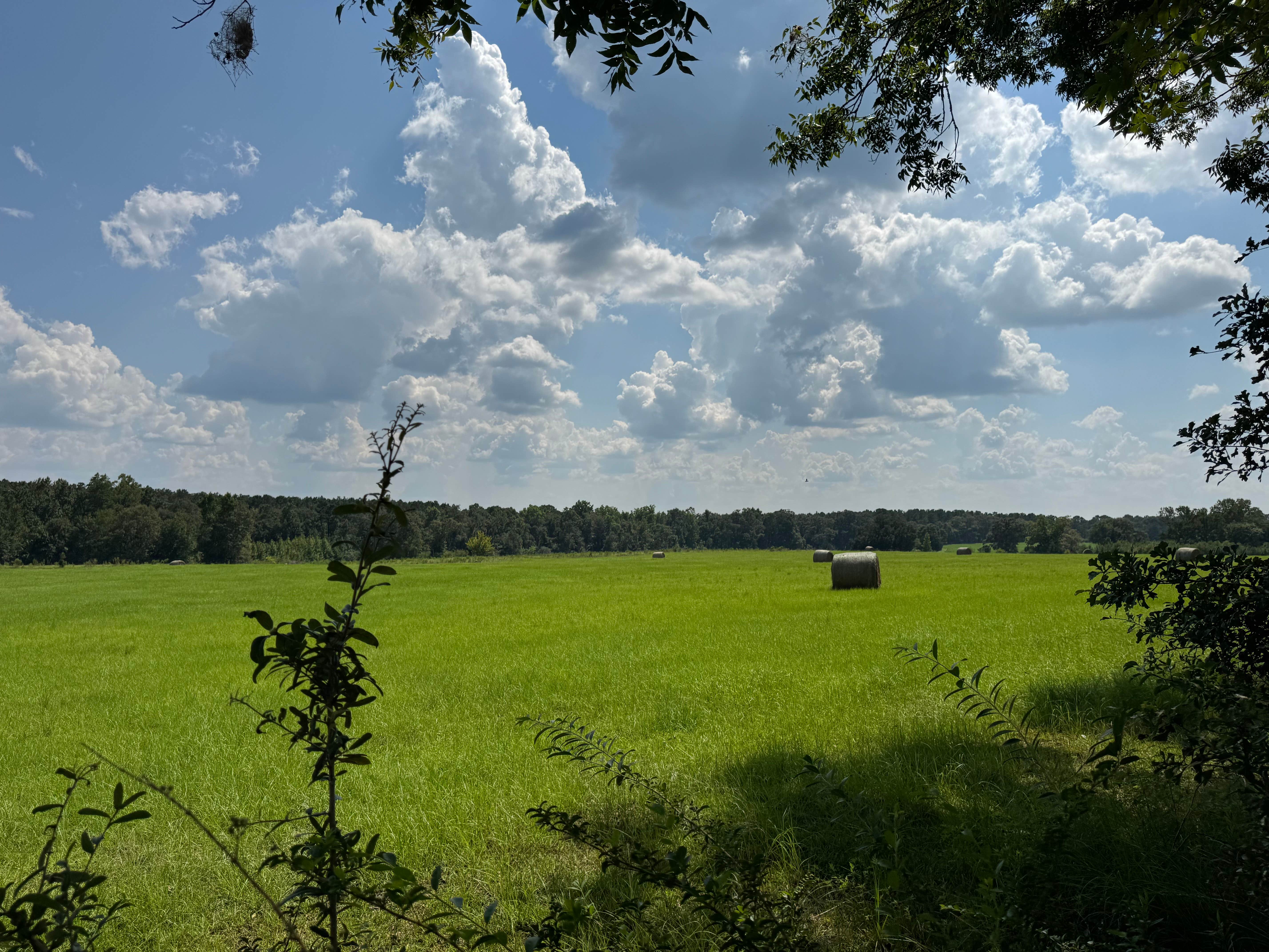 Camper submitted image from Pecan Ridge RV - 1