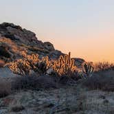 Review photo of Culp Valley Primitive Campground — Anza-Borrego Desert State Park by Dick T., December 9, 2025