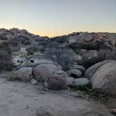 Review photo of Culp Valley Primitive Campground — Anza-Borrego Desert State Park by Dick T., December 9, 2025