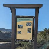 Review photo of Culp Valley Primitive Campground — Anza-Borrego Desert State Park by Dick T., December 9, 2025