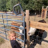 Review photo of Outside Inn Campground by Jonathan E., December 9, 2025