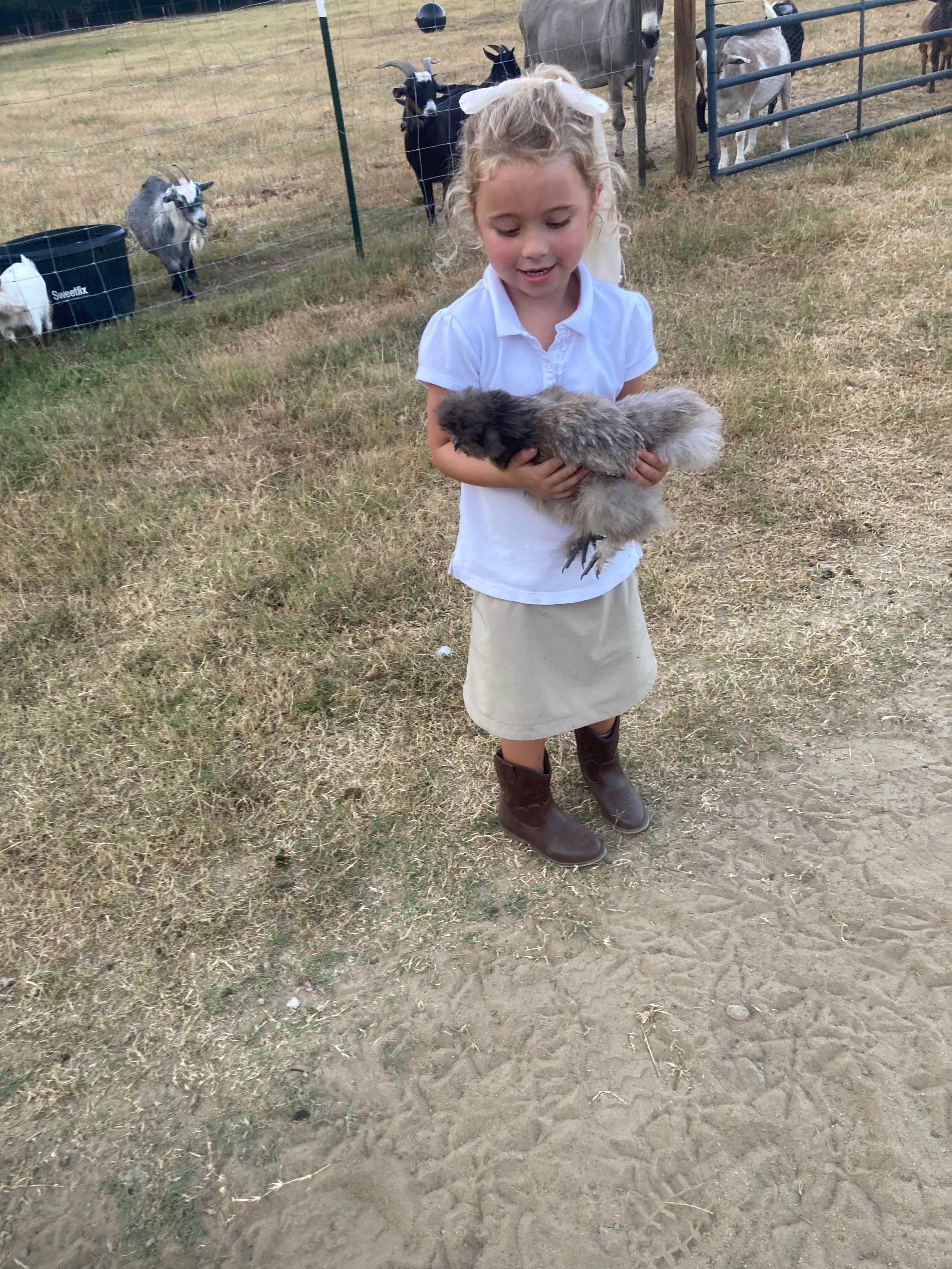 Jonathan E.'s photo of camping with pets at Outside Inn Campground near Harleyville, SC