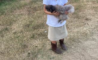 Jonathan E.'s photo of camping with pets at Outside Inn Campground near Summerton, SC