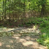 Review photo of Victor Road Dispersed by Camp With Me , December 9, 2025