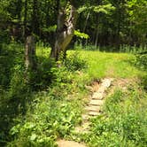 Review photo of Victor Road Dispersed by Camp With Me , December 9, 2025