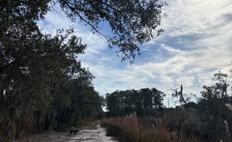 Zac B.'s photo of camping with pets at Marsh Wood near Bluffton, SC