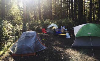 Doris W.'s photo at Coho Campground near Olympic National Forest