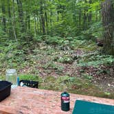 Review photo of Jenny Jump State Forest by Nadine R., December 10, 2025