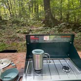 Review photo of Jenny Jump State Forest by Nadine R., December 10, 2025