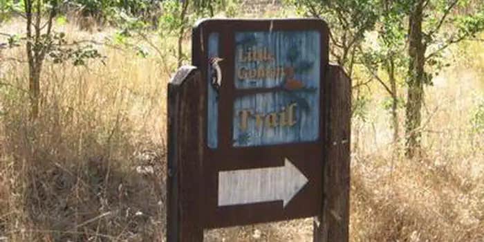 Camper submitted image from Pines Group Stanislaus — Stanislaus National Forest