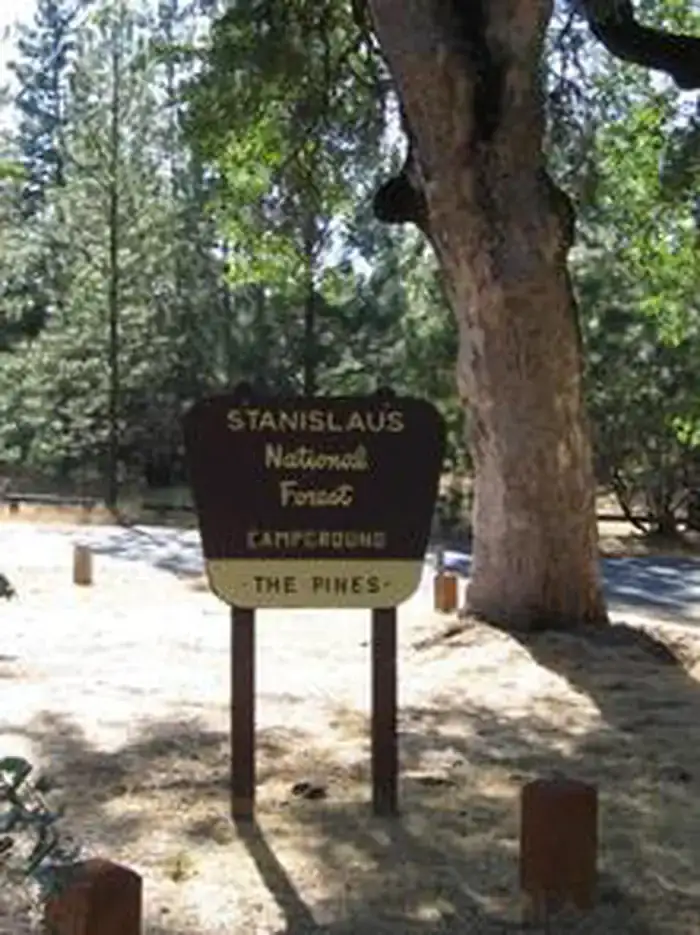 Camper-submitted photo at Pines Group Stanislaus — Stanislaus National Forest near Hughson, CA