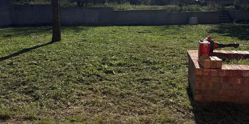 Camper submitted image from West Texas Big Sky Farm & Ranch