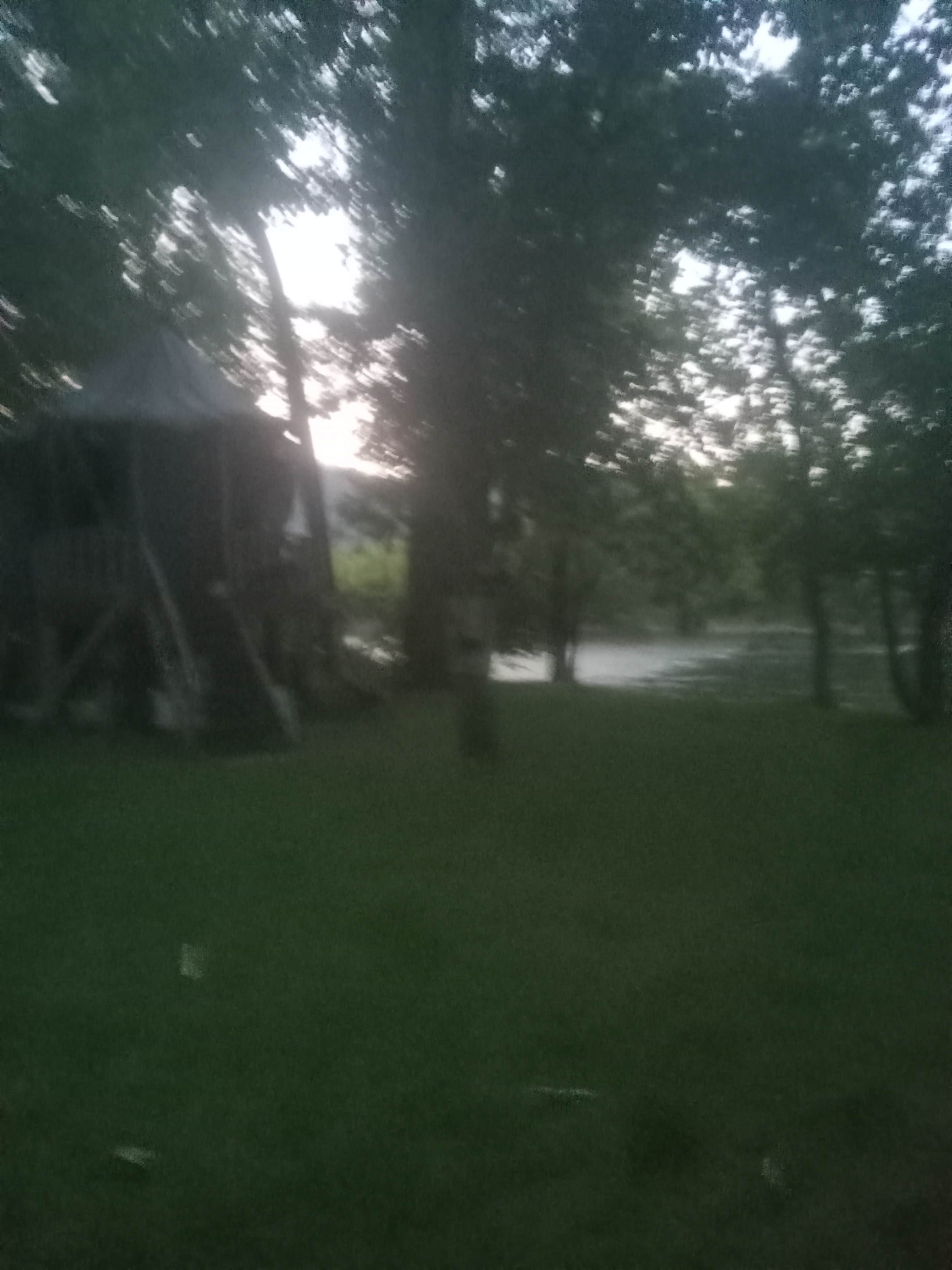 Camping near Just Plane Adventures: Sycamore Springs Campground, Baker, West Virginia