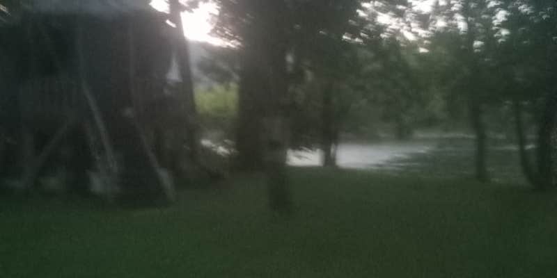 Camper submitted image from Sycamore Springs Campground