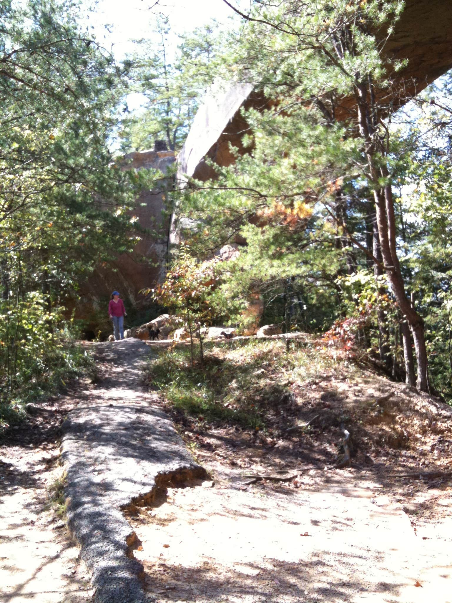 Camper submitted image from Bee Rock Rec Area - 1