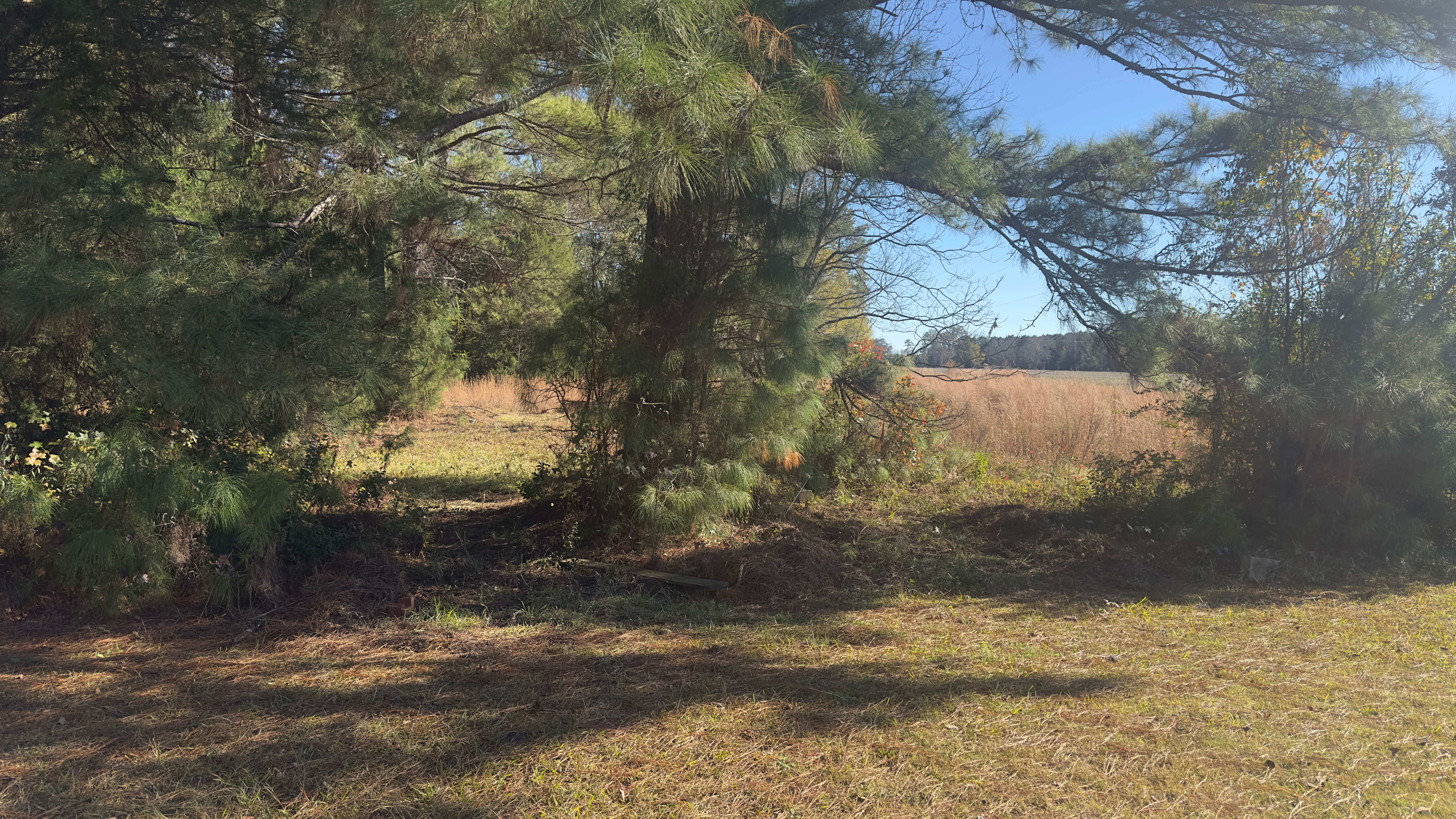 Camper-submitted photo at Agata near Florence, SC