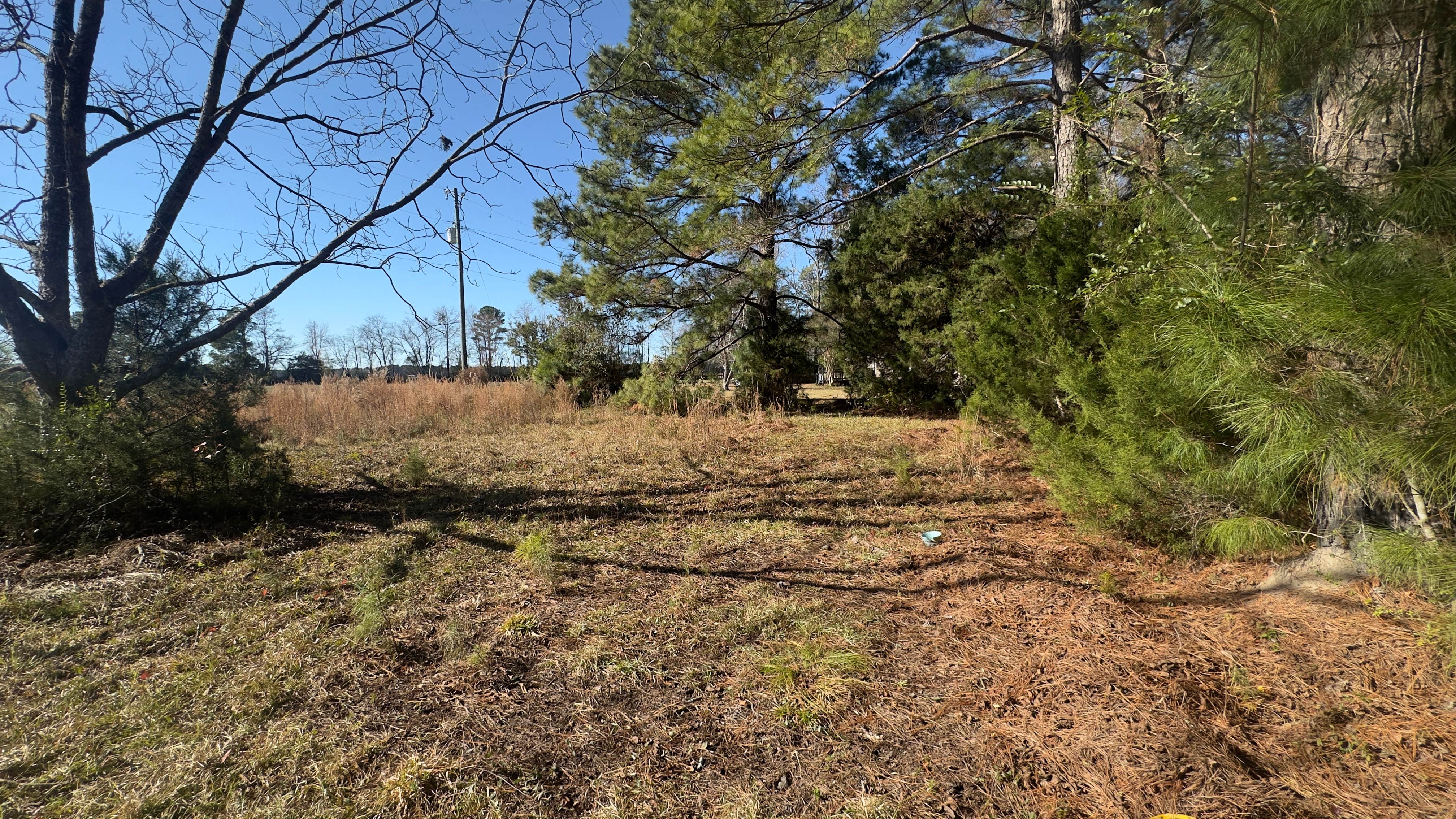 Camper-submitted photo at Agata near Florence, SC