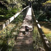 Review photo of Bee Rock Rec Area by Shelly S., July 6, 2016