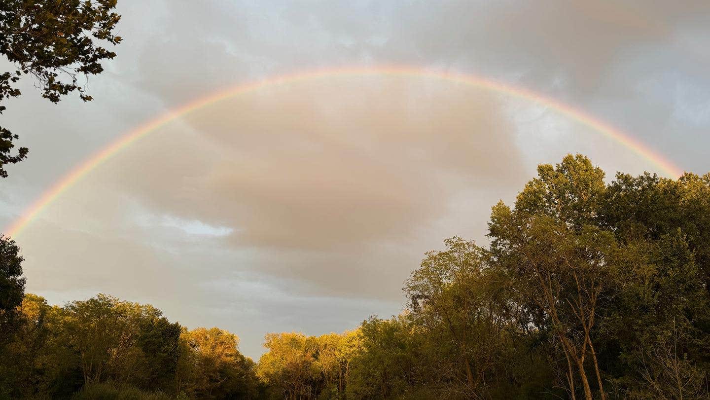 Camper submitted image from North Sandusky Campground - 3