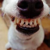 Review photo of Horses Welcome | Hot Shower | Close to Everything by Manjay P., December 12, 2025