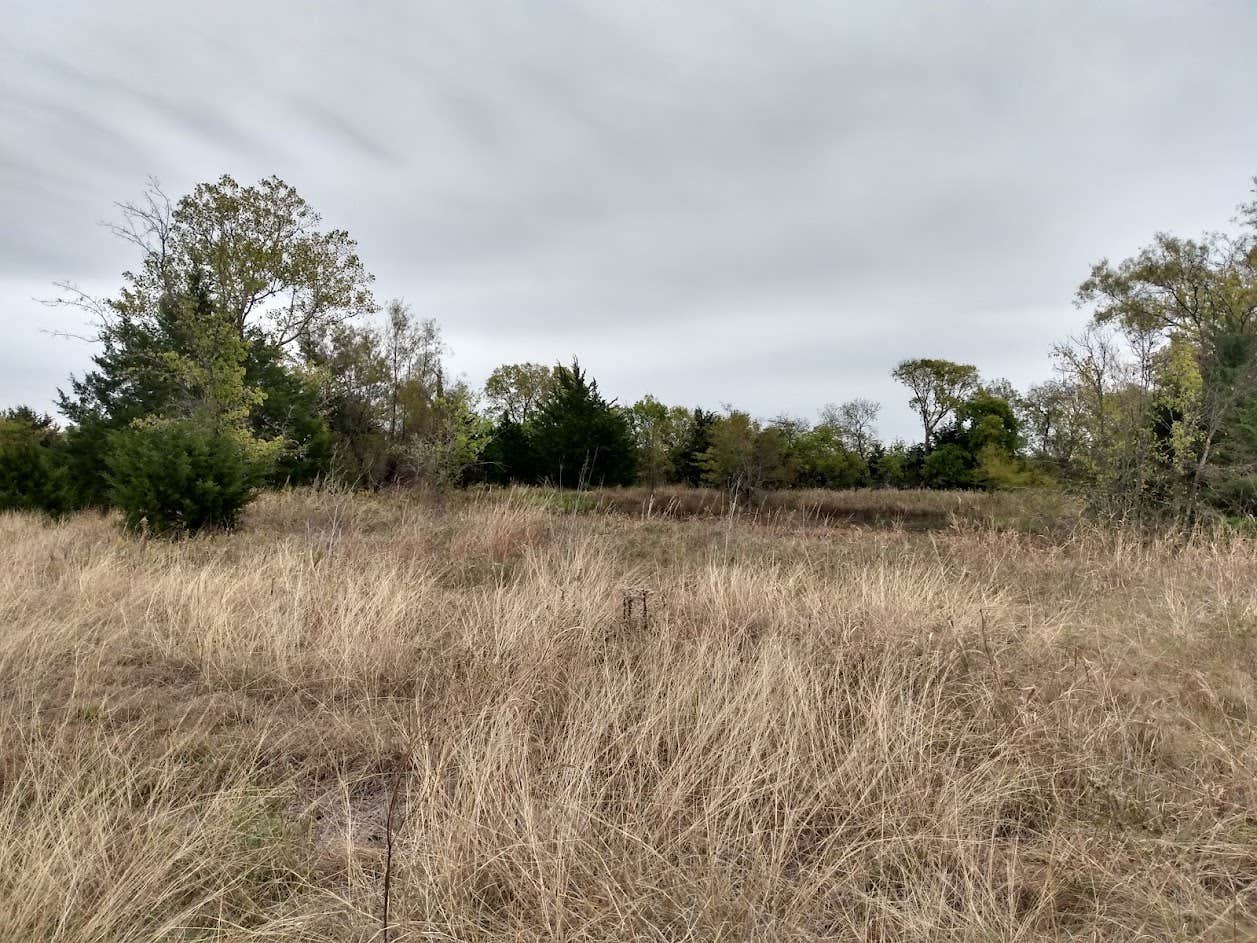 Camper submitted image from Nob Hill Meadow - 2