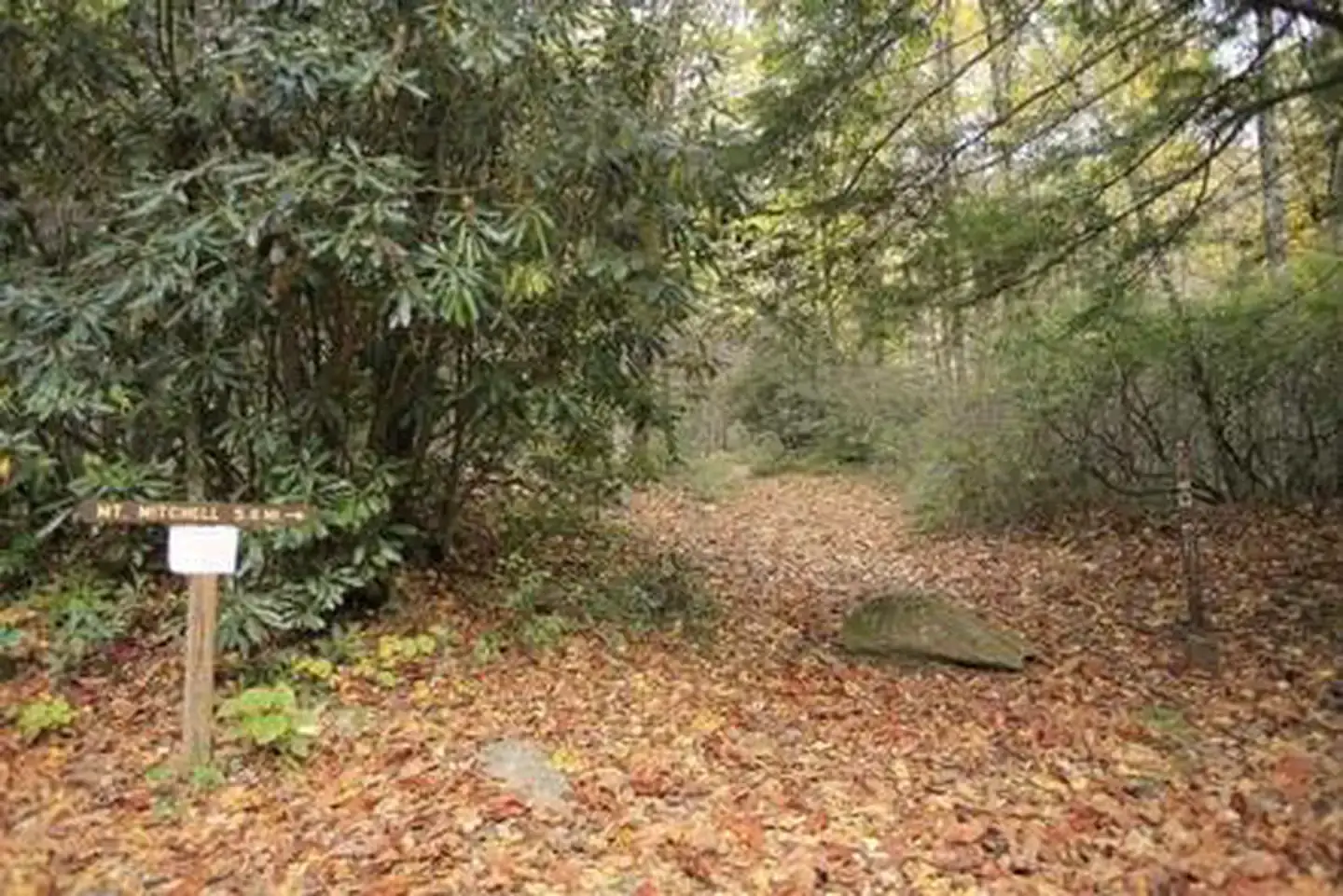 Camper-submitted photo at Briar Bottom Group Campground near Marion, NC