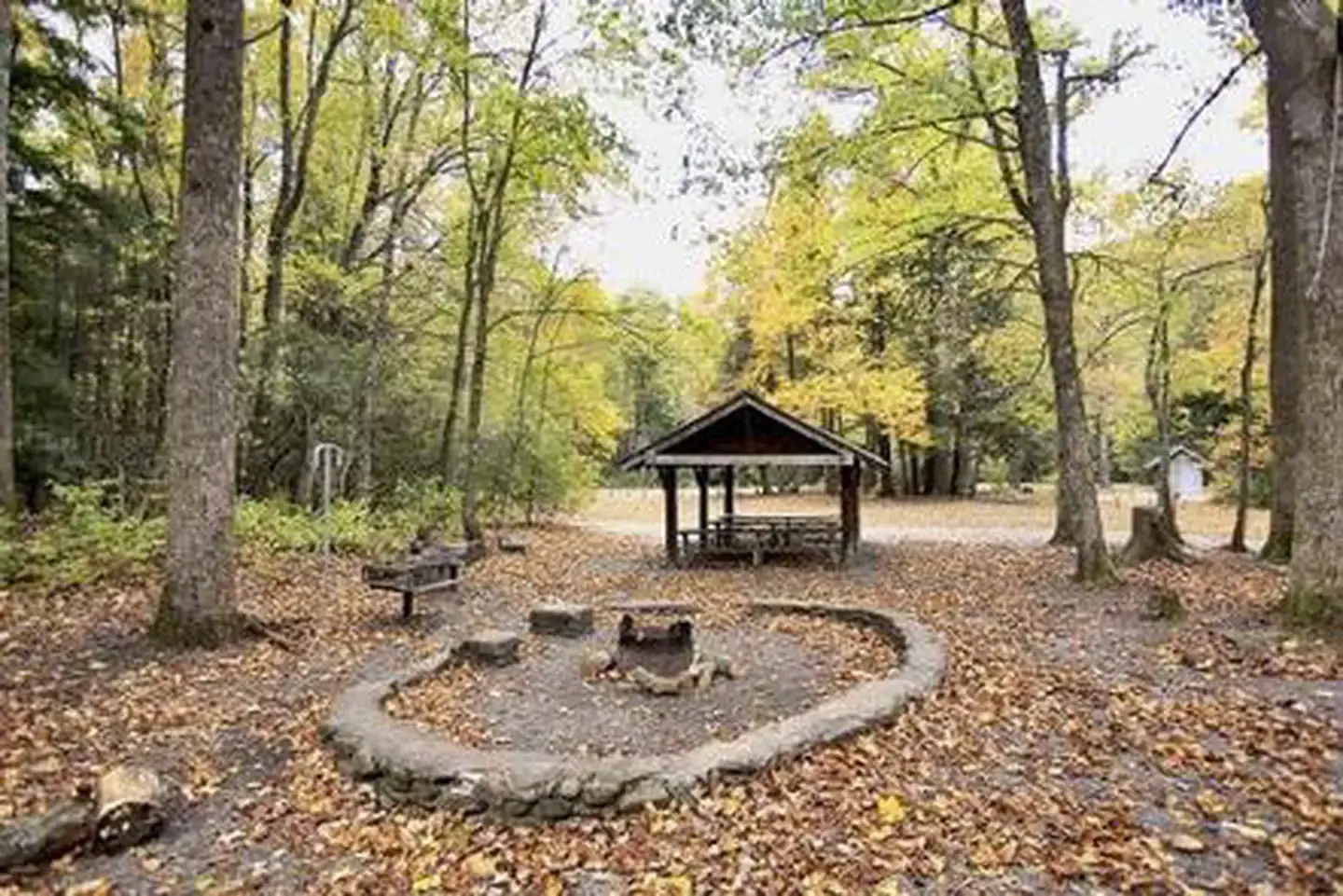 Camper-submitted photo at Briar Bottom Group Campground near Marion, NC