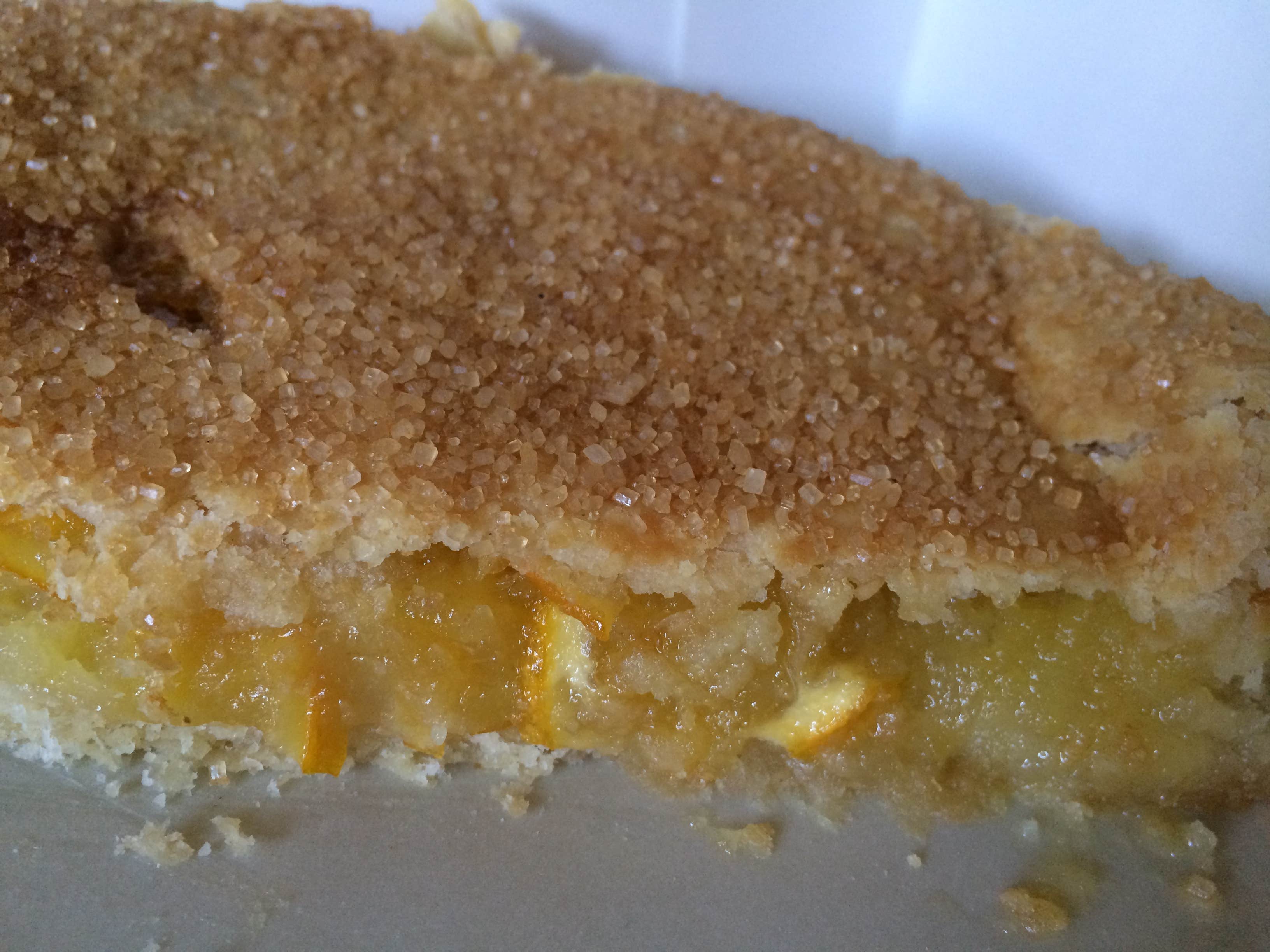 Camper-submitted photo at Rancheros de Santa Fe near Eldorado at Santa Fe, NM