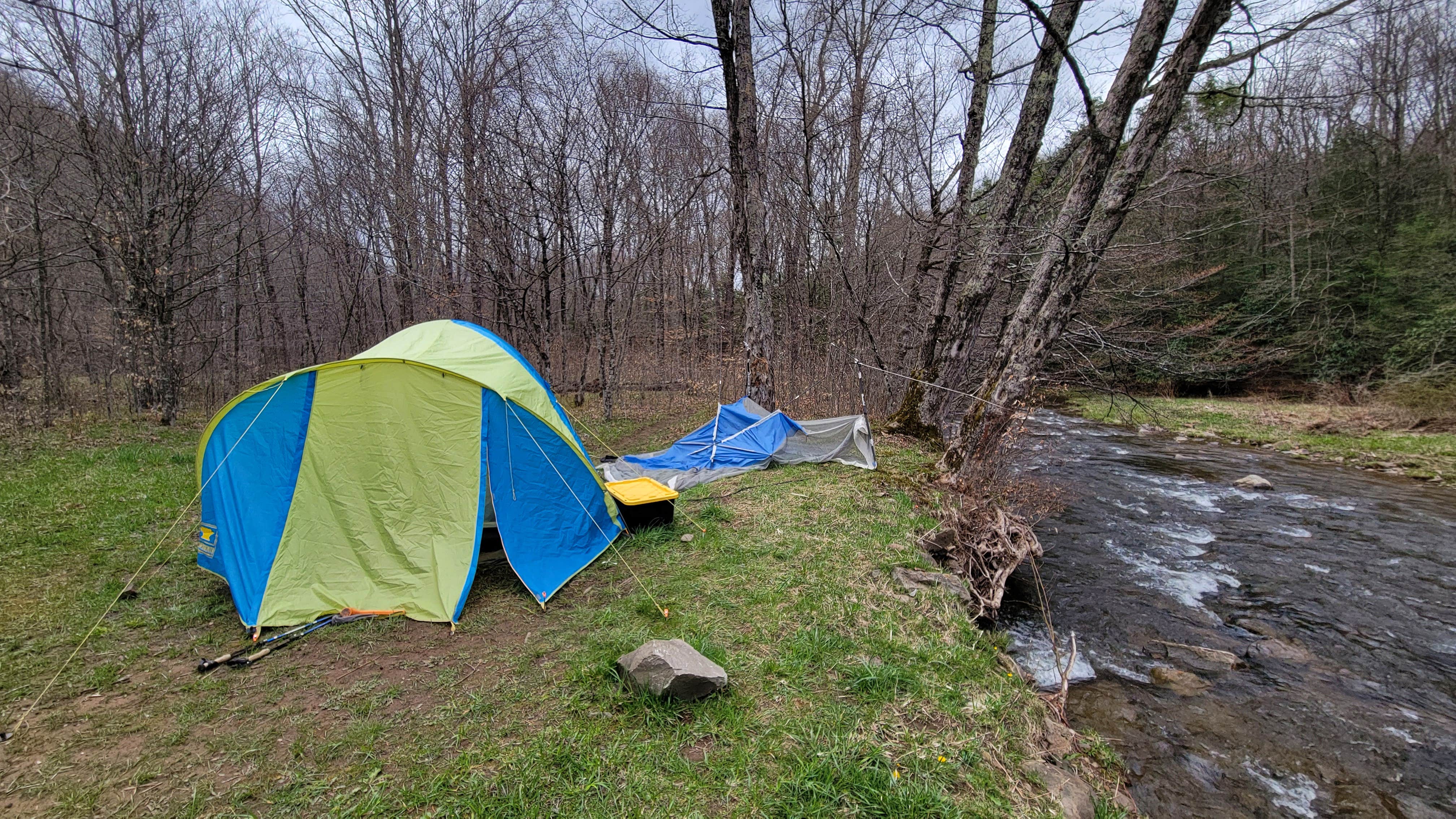 Ric M.'s photo of a dispersed camping area at Gandy Creek Dispersed Camping near Thomas, WV