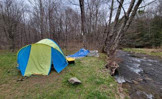 Ric M.'s photo at Gandy Creek Dispersed Camping near Glady, WV