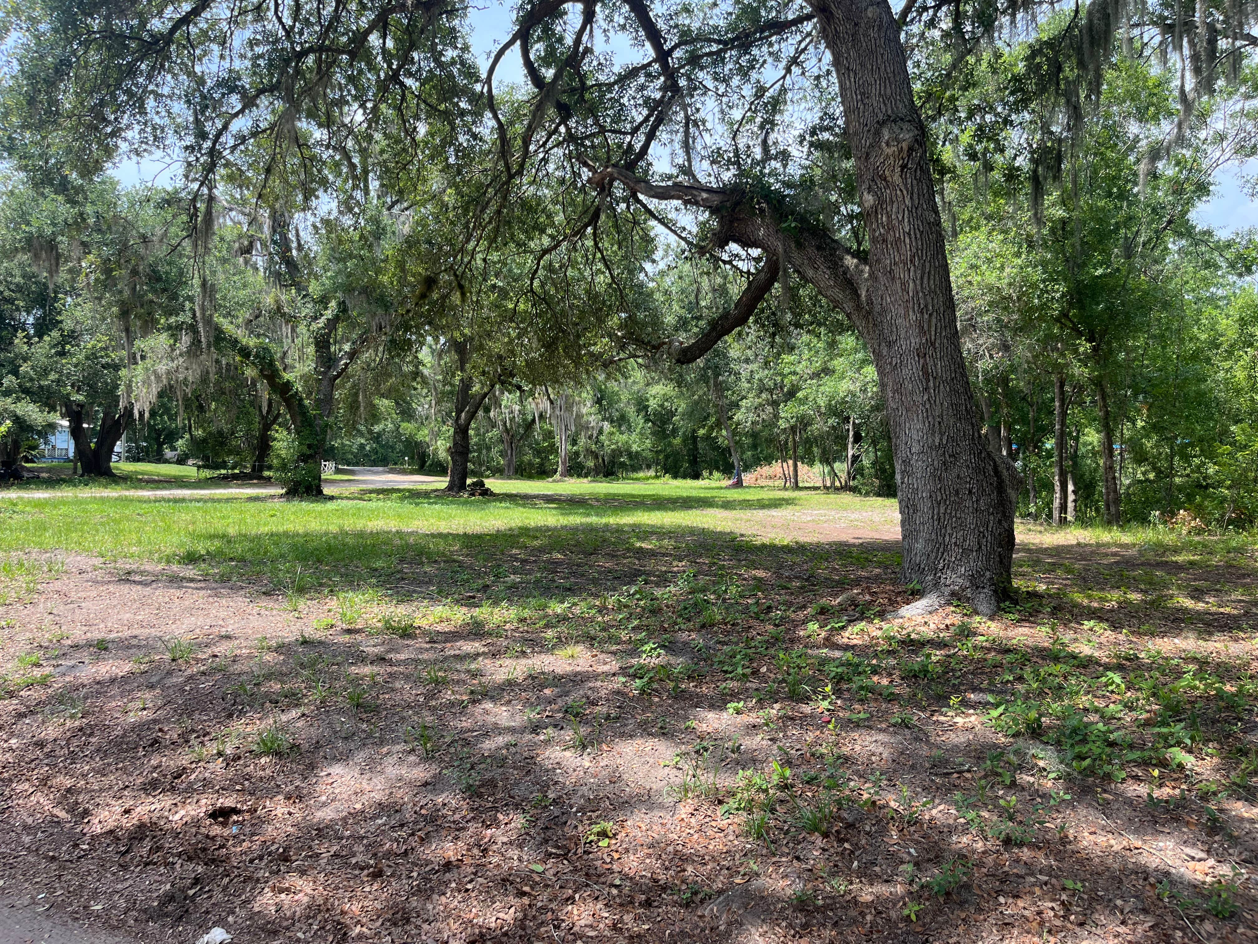 Camper submitted image from Tropical Acres RV Park & Storage - 2