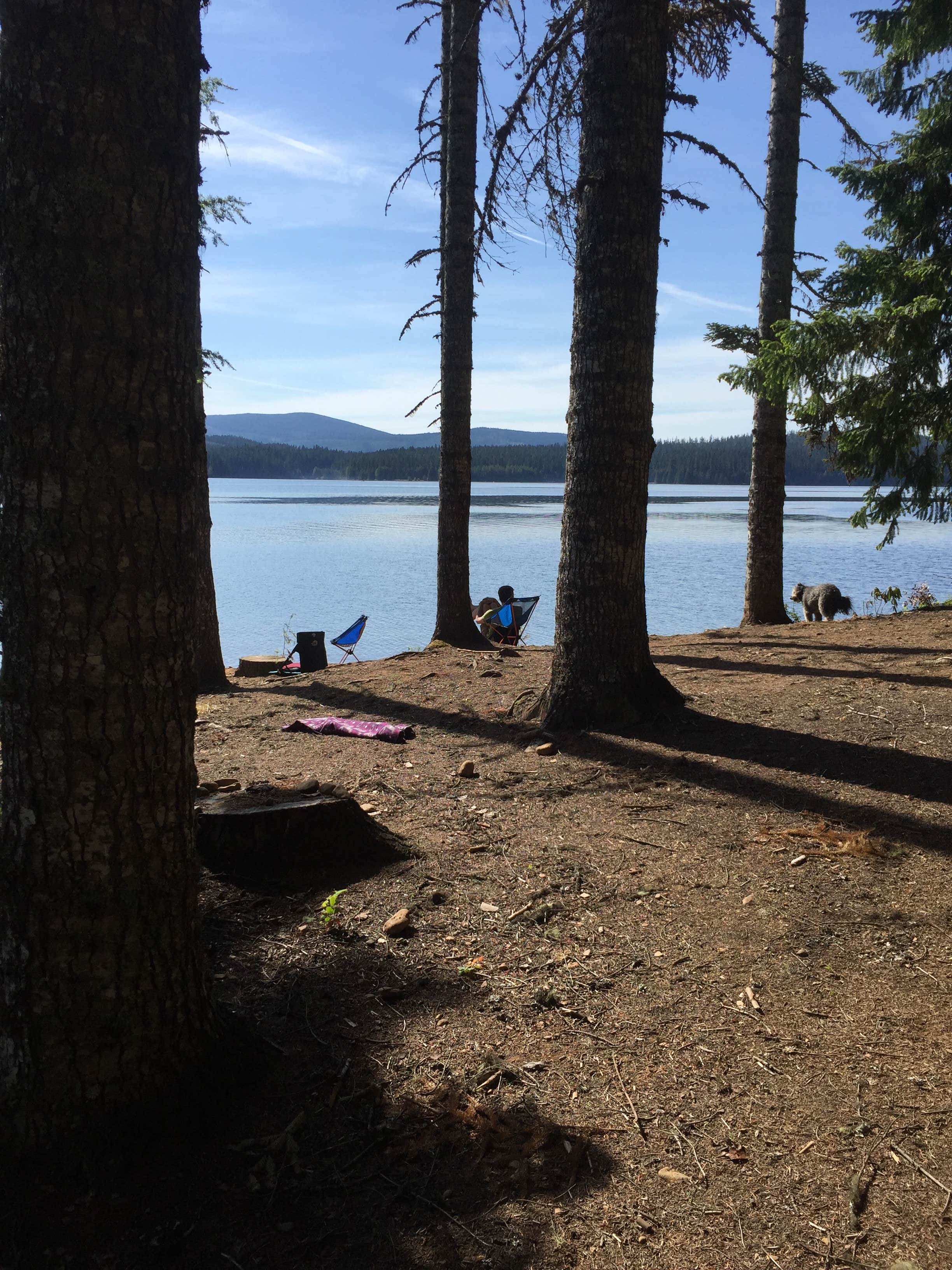 Camper-submitted photo at Meditation Point Campground near Government Camp, OR