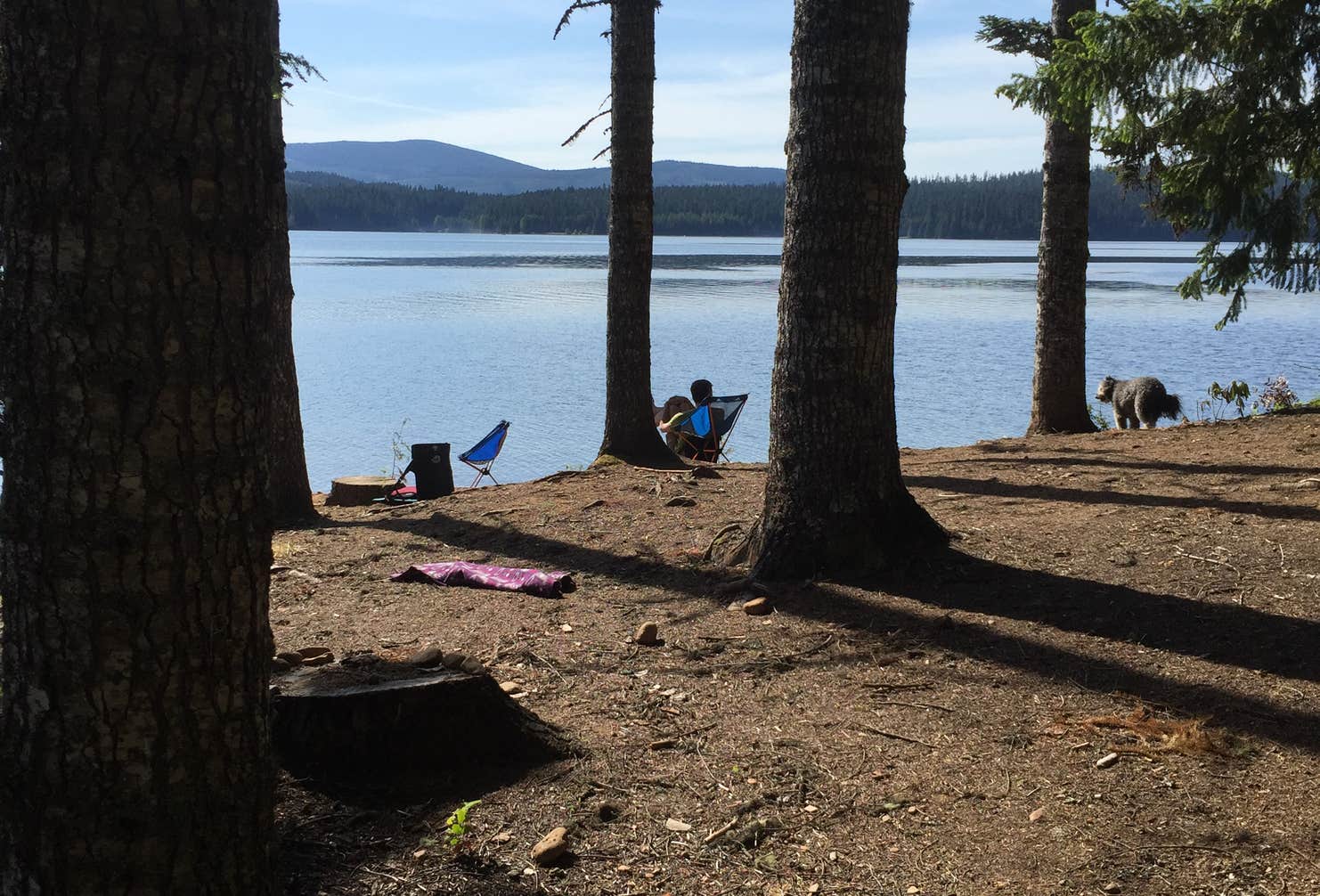 Meditation Point Campground | Mt. Hood National Forest, Oregon