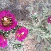 Review photo of Rancheros de Santa Fe by Lisa S., September 28, 2016