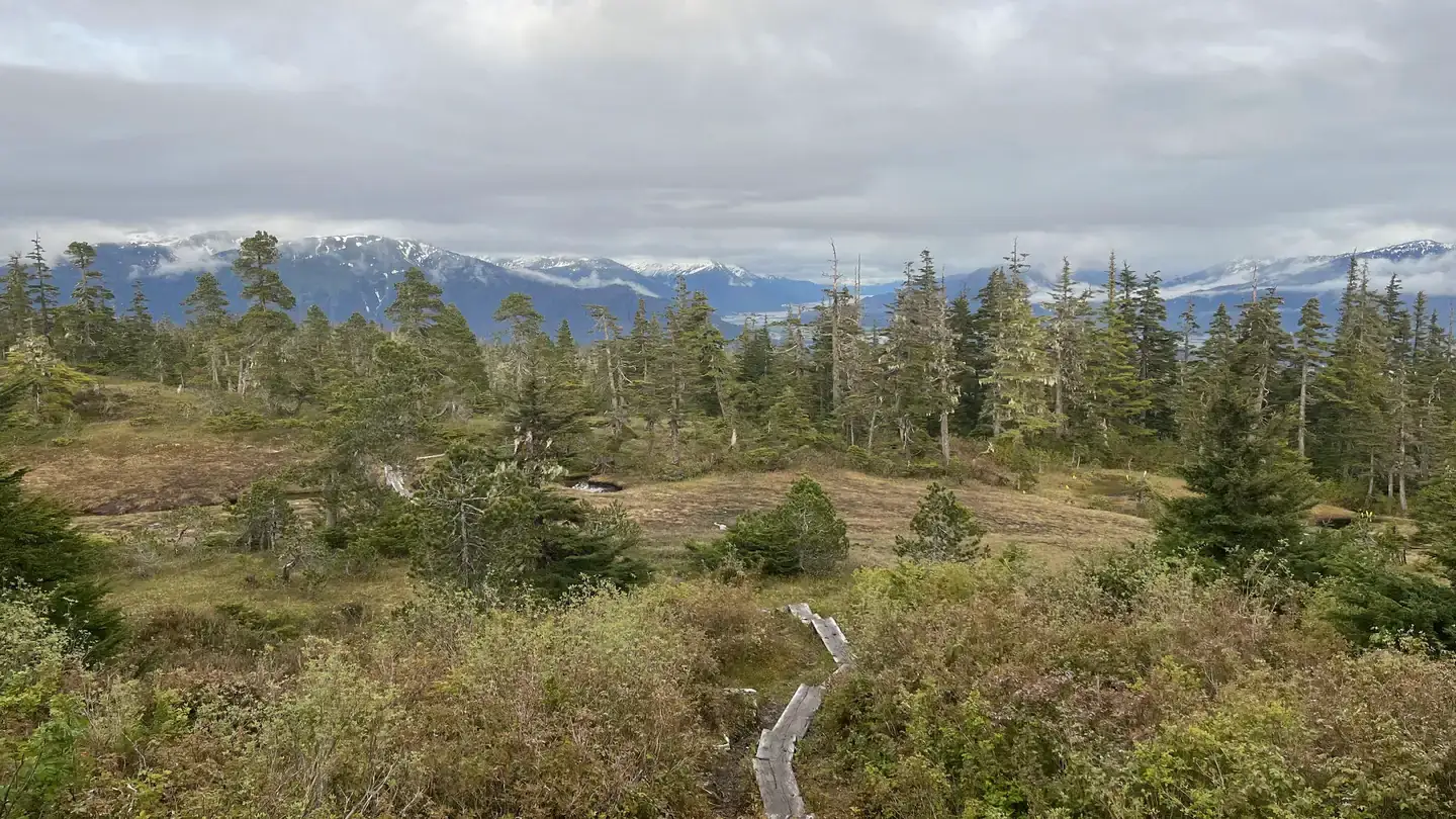 Camper-submitted photo at John Muir Cabin near Gustavus, AK