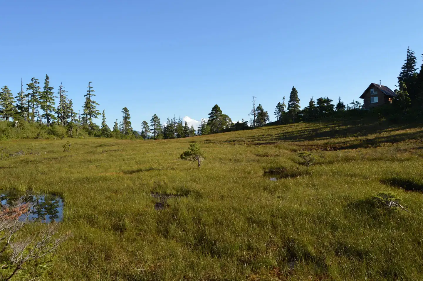 Camper-submitted photo at John Muir Cabin near Gustavus, AK