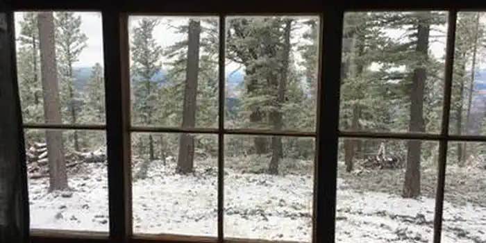 Camper submitted image from Strawberry Cabin