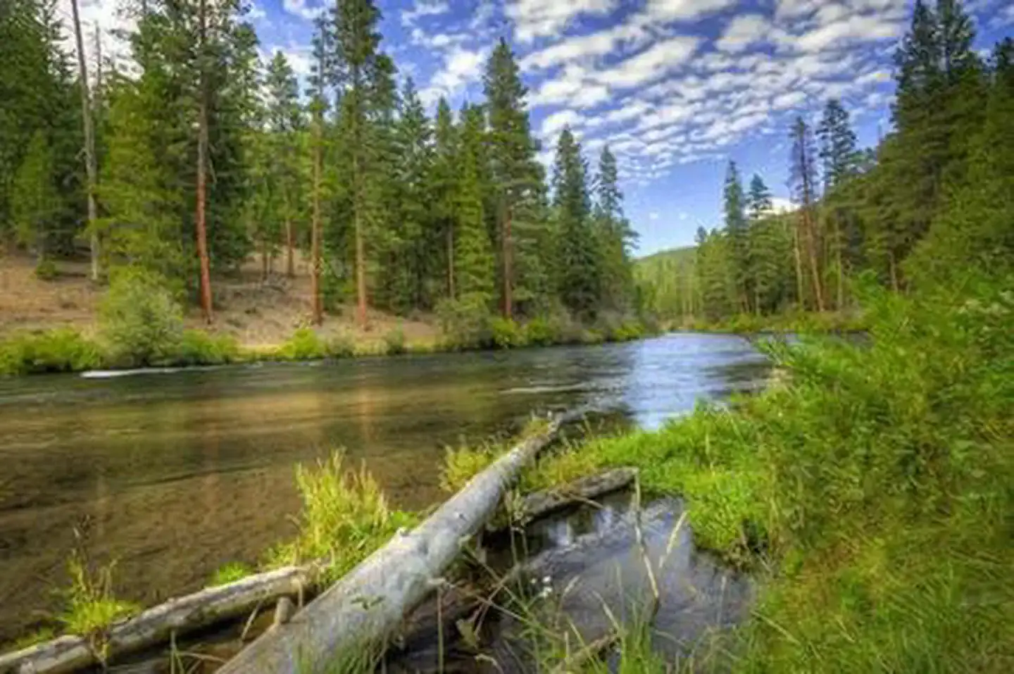 Camping near Perry South Campground: Pioneer Ford Campground, Camp Sherman, Oregon