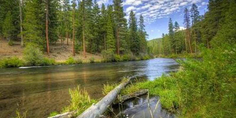 Camper submitted image from Pioneer Ford Campground