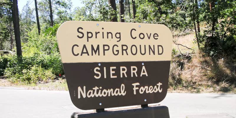 Camper submitted image from Spring Cove Campground